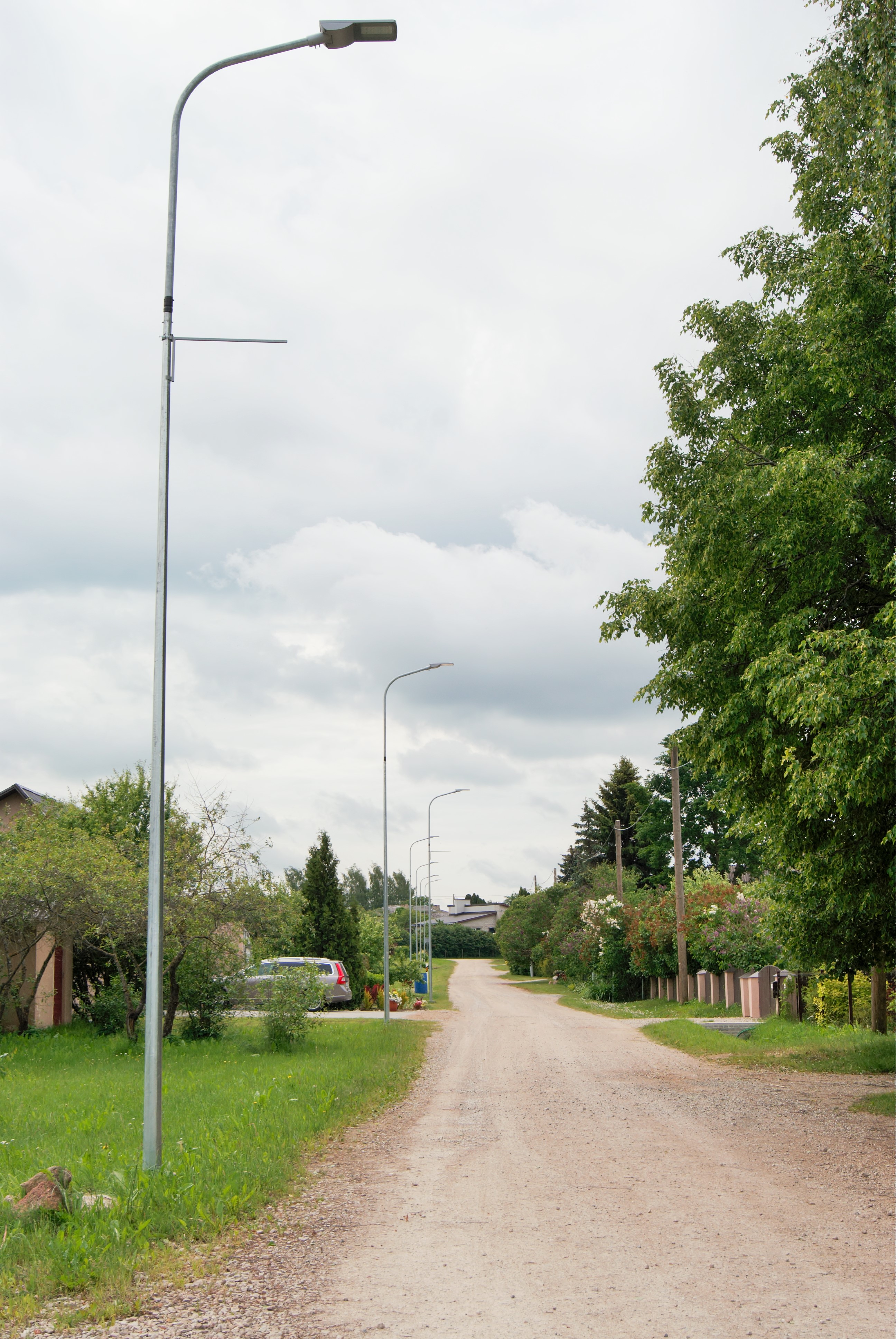 DSC09866