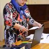 “SVVA attīstības stratēģija un projektu iespējas ELFLA fonda LEADER programmā”.